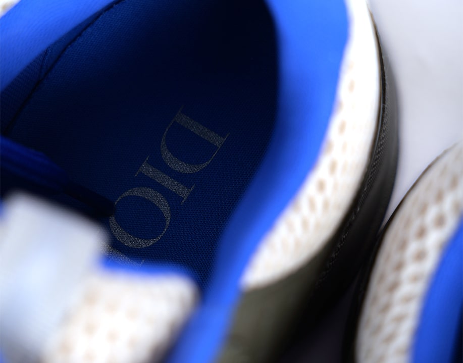 B22 Dior Sneakers