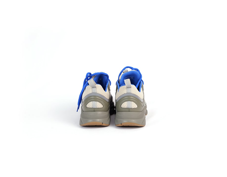 B22 Dior Sneakers