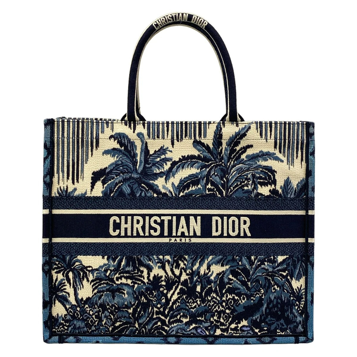Sac Dior Book Tote, vue de l'article seul